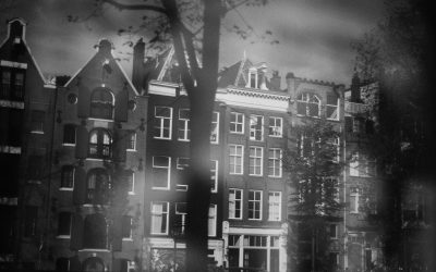 Back In The Dam